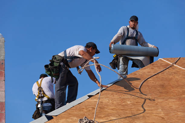 Best Shingle Roofing Installation  in Mauston, WI